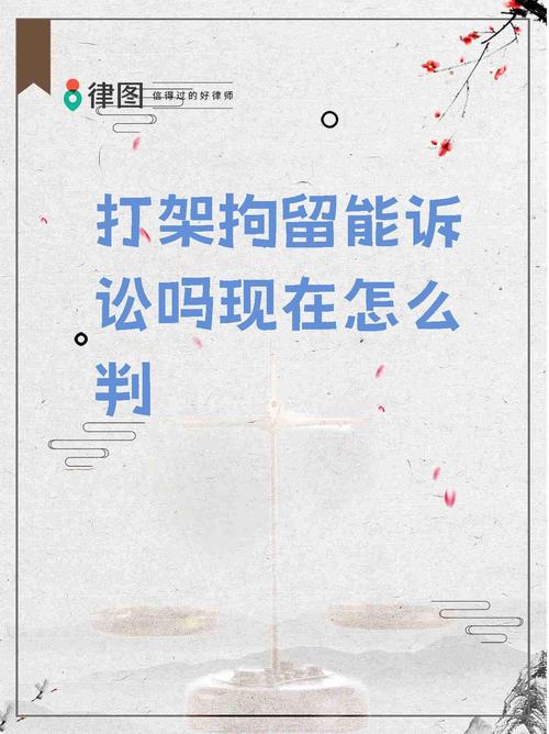 摆拍民政局打架被拘,摆拍民政局打架被拘留怎么办
