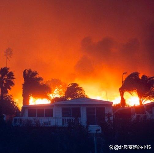 2025新澳门全年免费大全和加拿大多地野火肆虐与加拿大多地野火肆虐的原因