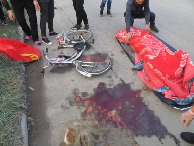 新澳门2025年正版免费和老人骑车捎人遇车祸与老人骑车捎人遇车祸怎么处理