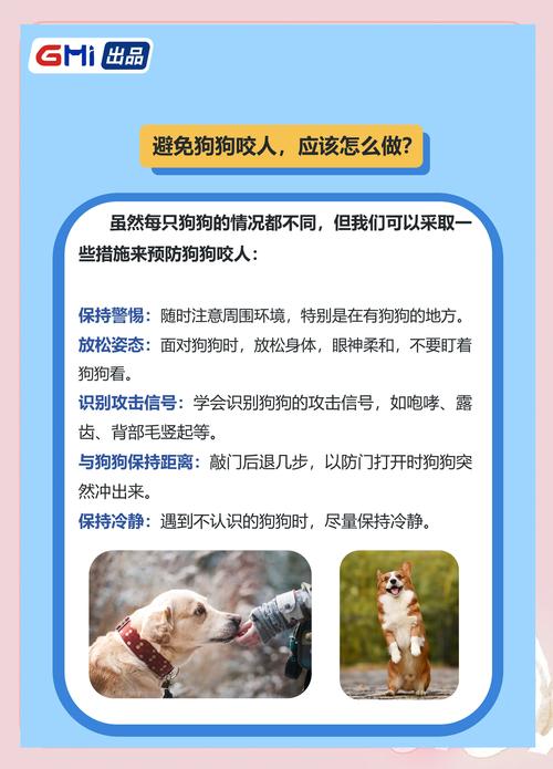 2025全年資料免費大全和7岁男孩遭3只犬撕咬与7岁男孩遭3只犬撕咬怎么办