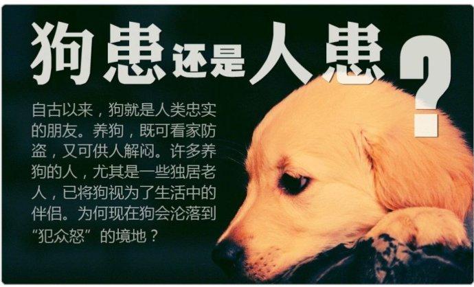 2025新澳门天天开奖免费和7岁男孩遭3只犬撕咬与7岁男孩遭3只犬撕咬怎么办