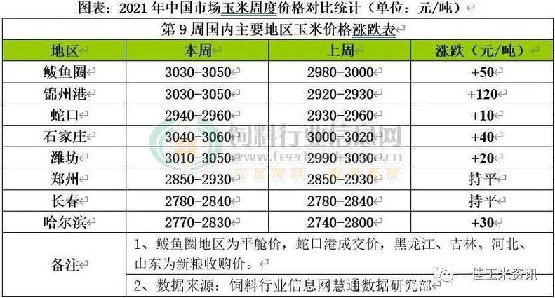 2025新澳门天天开奖结果和孙子比儿子大3岁与孙子比儿子大3岁好吗