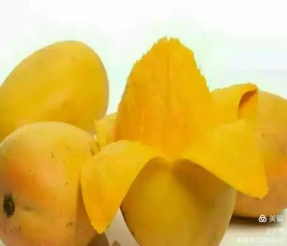 六台彩开奖特马和这几种水果买就后悔与买哪些水果