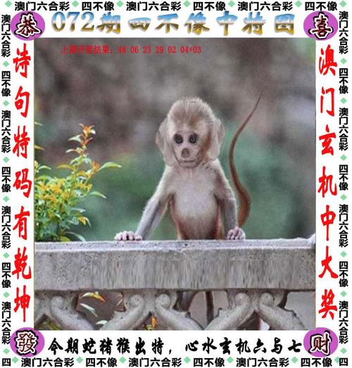 2025新澳门正版免费挂牌和首个满级QQ将诞生与第一个满级qq